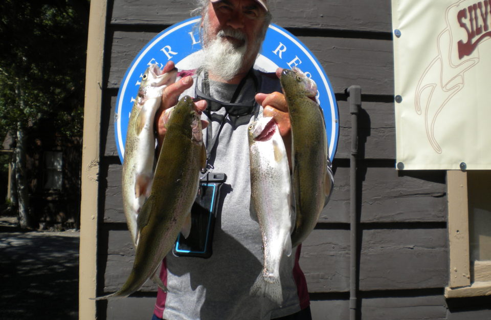 Silver Lake Resort Fishing Report 6/26 - 7/3/2022 - Silver Lake Resort